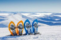 Snow shoeing tours