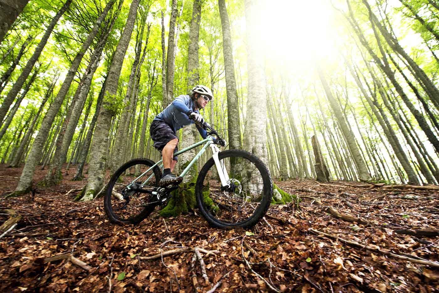 Book downhill biking in Bulgaria